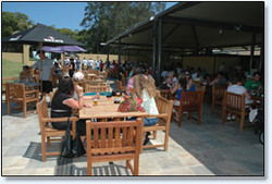 Bateau Bay Hotel - Tourism Gold Coast 1