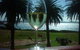 Bermagui Beach Hotel - thumb 3