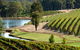 Brookhampton Estate Vineyard - thumb 0