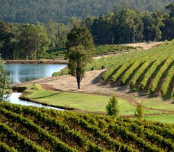 Brookhampton Estate Vineyard - Tourism Gold Coast 0