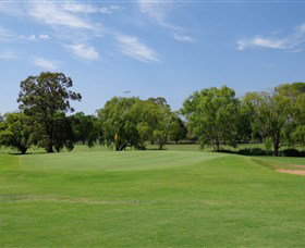 Singleton Golf Club - Tourism Gold Coast 1