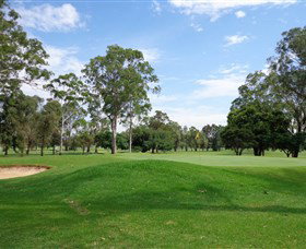 Singleton Golf Club - Tourism Gold Coast 0