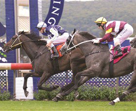 Gosford Race Club - Tourism Gold Coast 0