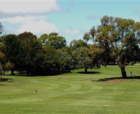 Cooma Golf Club - Tourism Gold Coast 1