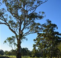 Ryde-Parramatta Golf Club - Tourism Gold Coast