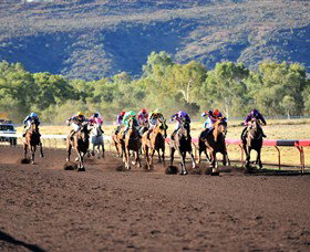 Alice Springs Turf Club - Tourism Gold Coast 6