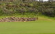 Alice Springs Golf Club - thumb 1