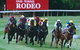 Geelong Racing Club - thumb 1