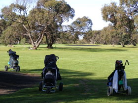 Minlaton Golf Club - Tourism Gold Coast 3