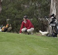 Tasmania Golf Club - The - Tourism Gold Coast