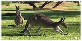 Rockingham Golf Club - Tourism Gold Coast 2