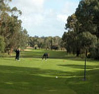 Mount Gambier Golf Club - Tourism Gold Coast