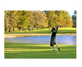 Yowani Country Club Incorporated - Tourism Gold Coast 0