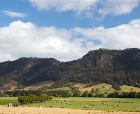 Cobark NSW Tourism Gold Coast