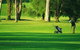 Foster Golf Club - thumb 0