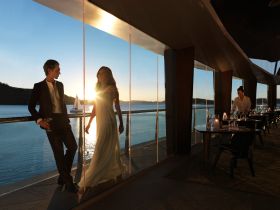 Hamilton Island Yacht Club - Tourism Gold Coast 2