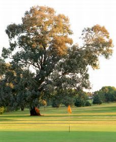 Cowra NSW Tourism Gold Coast