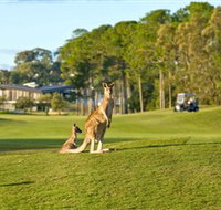 Sanctuary Cove Golf and Country Club - Tourism Gold Coast