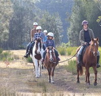 Horse Riding at Oaks Ranch and Country Club - Tourism Gold Coast