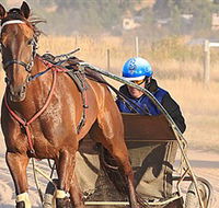 Ballarat  District Trotting Club - Tourism Gold Coast