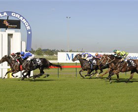 Cordeaux NSW Tourism Gold Coast