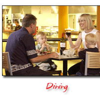 Steelers Club - Tourism Gold Coast