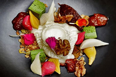 South Yarra VIC Tourism Gold Coast