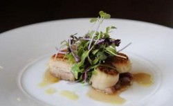 Bridgeview Hotel - Tourism Gold Coast 0