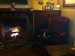 Royal Cricketers Arms - Tourism Gold Coast 2