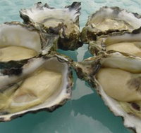 Nick's Bar and Grill - Tourism Gold Coast