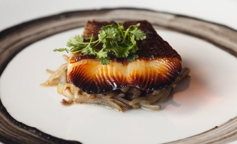 Shiki - Tourism Gold Coast 2