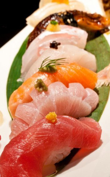 Shiki - Tourism Gold Coast 4