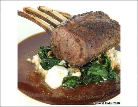 O'hotel - Tourism Gold Coast 0