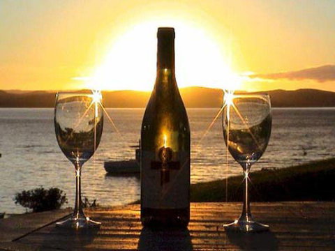 Vintage Cellars - Tourism Gold Coast 1