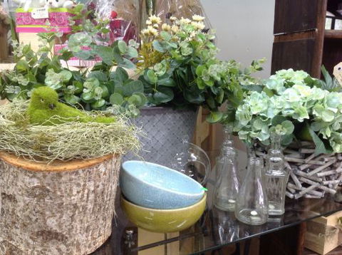 Fiori With Love - Tourism Gold Coast 2