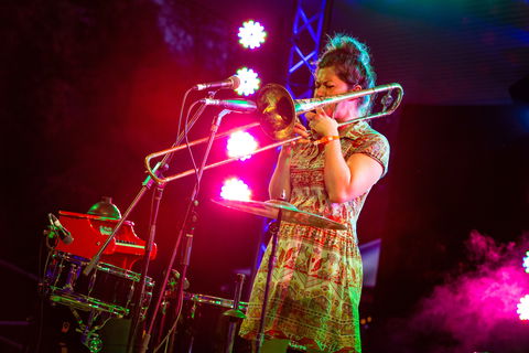 Agnes Blues, Roots And Rock Festival - Tourism Gold Coast 2