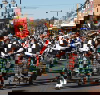 Australian Celtic Festival - Tourism Gold Coast