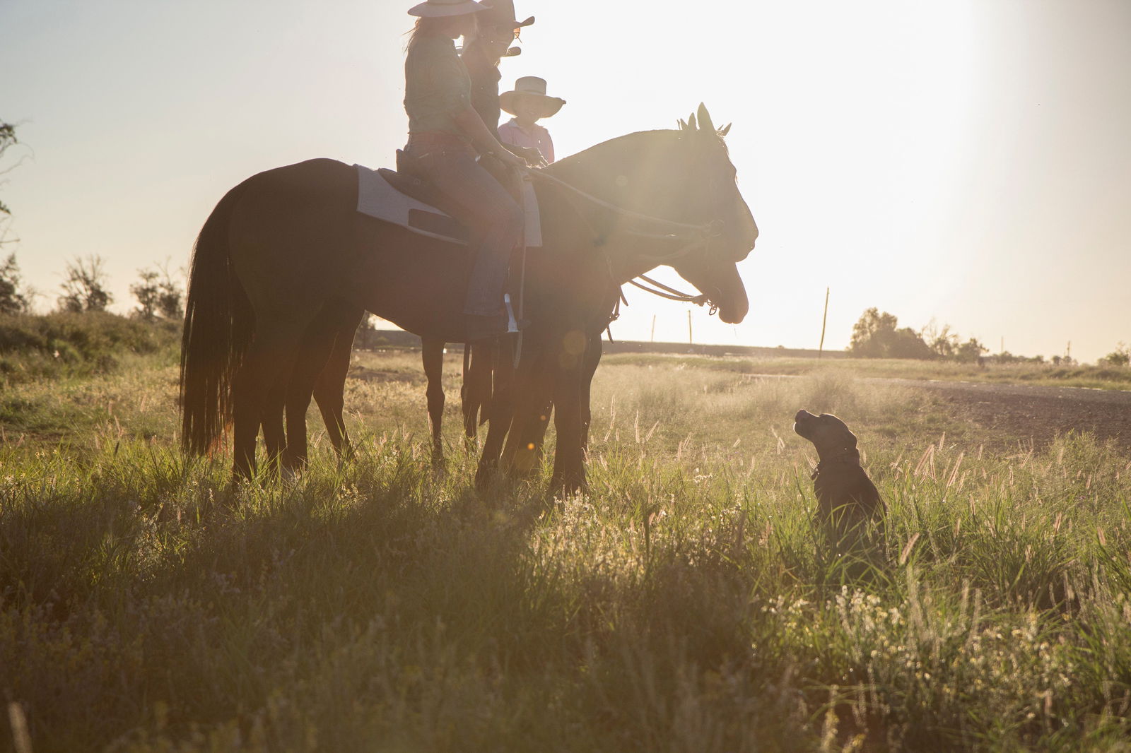 St George QLD Tourism Gold Coast