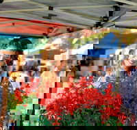 Ballina Missingham Farmers Market - Tourism Gold Coast