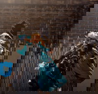 Baroque Horse Festival - Tourism Gold Coast