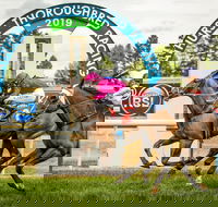 Bathurst Cup - Tourism Gold Coast