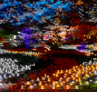 Canberra Nara Candle Festival - Tourism Gold Coast