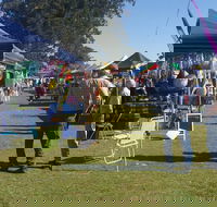 Casino Golf Club Markets - Tourism Gold Coast