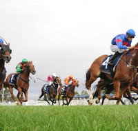 Christmas Cup Race Day - Tourism Gold Coast