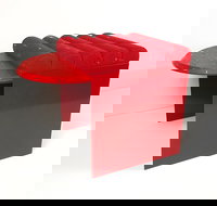 Differing Perspectives - Tourism Gold Coast