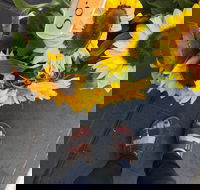 Friday Forage - Tourism Gold Coast