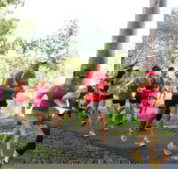 Gladstone Weekly Parkrun - Tourism Gold Coast