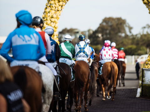 Golden Eagle Day - Tourism Gold Coast 1