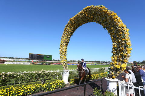 Golden Eagle Day - Tourism Gold Coast 2
