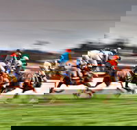 Grafton July Racing Carnival - Tourism Gold Coast